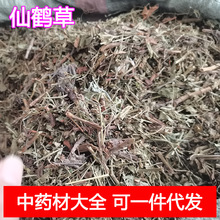 仙鹤草 龙牙草 父子草 中药材批发仙鹤草可一件代发