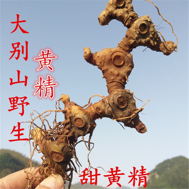 黄精野生黄精大别山黄精干农家自制无硫滋补泡酒500g包邮包邮