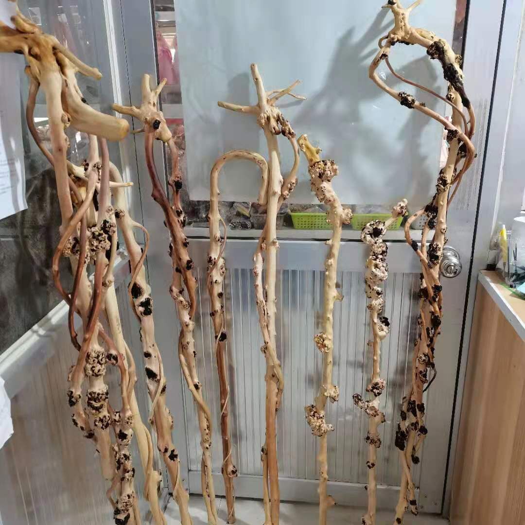 山茶木烟斗麻梨疙瘩拐杖木制拐杖黑果木拐杖随行根雕木