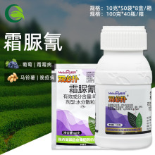 陕西美邦 双必扑 80%霜脲氰 葡萄霜霉病疫病农药杀菌剂农用