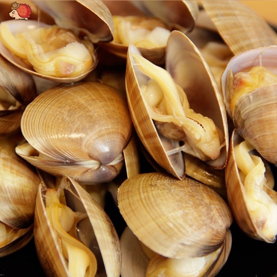 丹东大黄蚬子鲜活无沙蛤蜊海鲜贝类特产海鲜无沙水产新鲜的活蚬