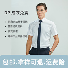高级感商务男式衬衣纯棉DP免烫短袖衬衫夏季职业男士衬衫厂家批发