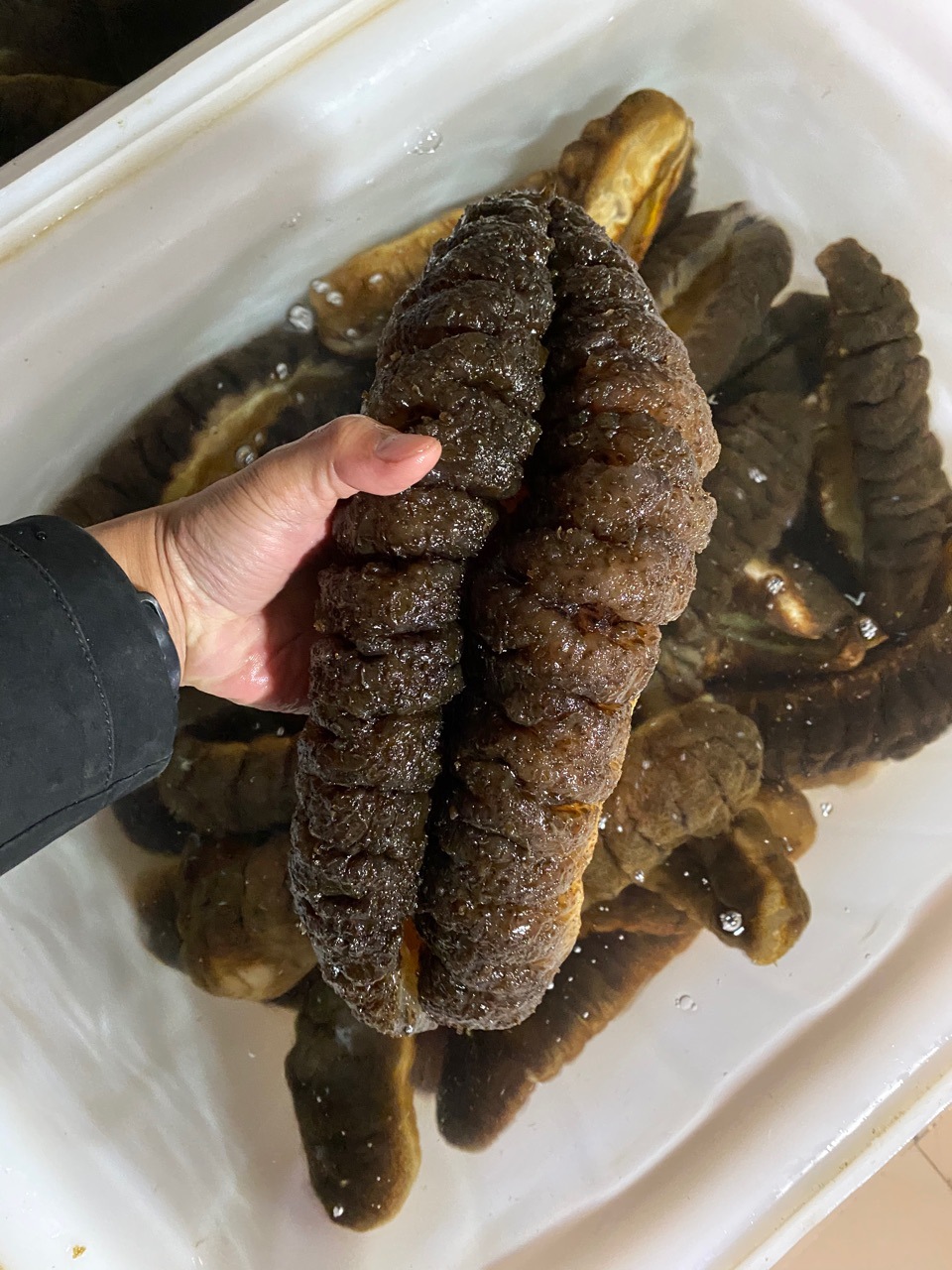 象牙参大乌参水发海参即食海参2斤大海参