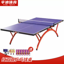 红双喜乒乓球台家用T2828大彩虹小彩虹标准训练比赛TCH乒乓球桌