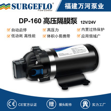 DP-160高压隔膜水泵12V24V直流净水器增压泵洗车喷雾冲洗自吸水泵