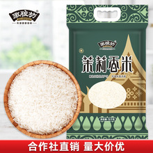 茉莉泰香米10斤真空包装茉莉香稻米5kg 新米厂家长粒大米批发