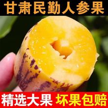 甘肃民勤人参果应季新鲜水果低糖黄肉人生果仙人果整箱包邮跨境