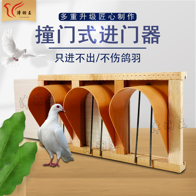 鸽子门赛鸽信鸽进笼口进笼跳笼进出门器用品用具大全