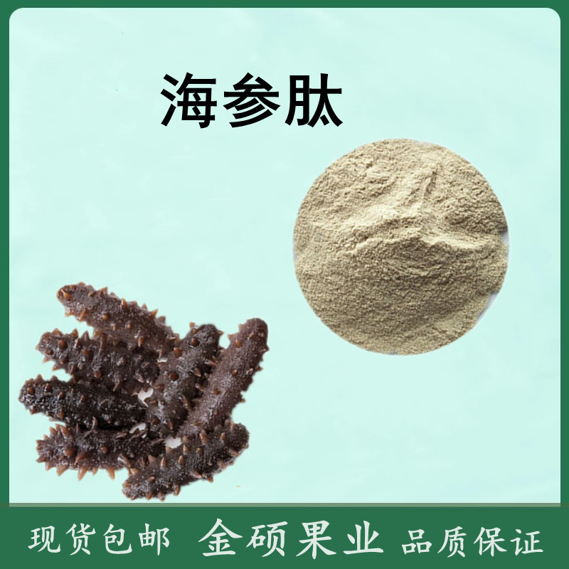 海参肽海参粉海参多肽现货海参蛋白肽厂家批发欢迎咨询