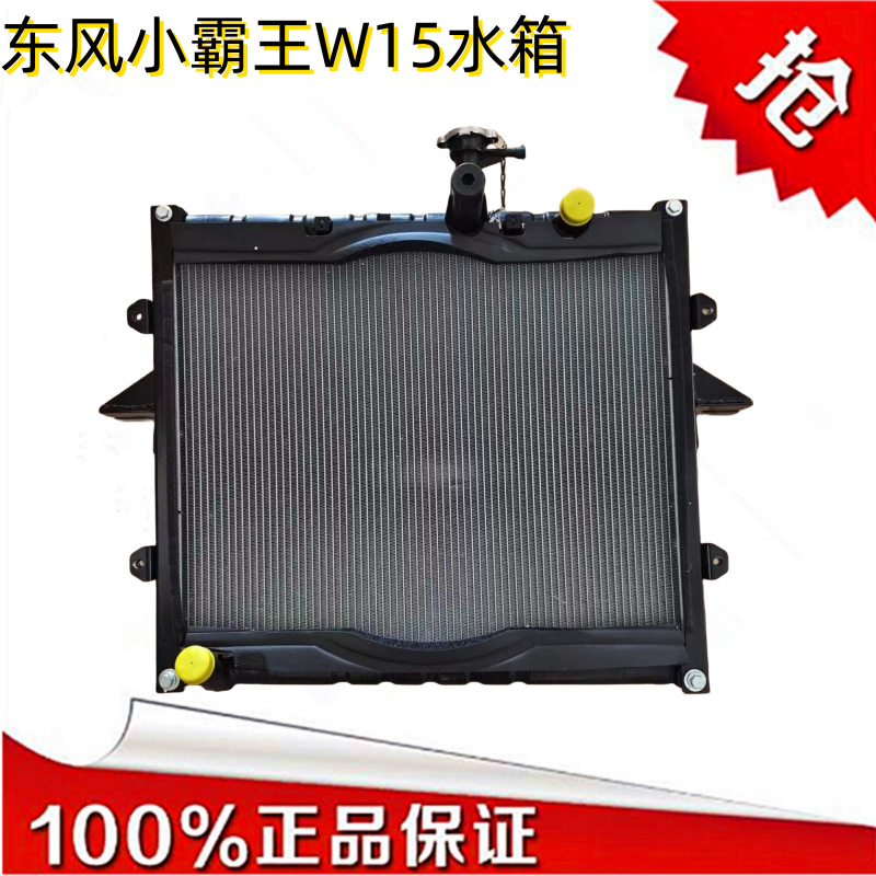 适用于东风小霸王w15q国六水箱 散热器lj4a16专用水箱1.