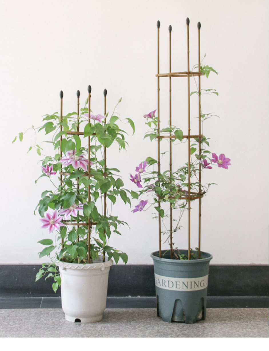 仿竹子花架爬藤花支架园艺攀爬藤植物架月季铁线莲竹杆支撑架跨境