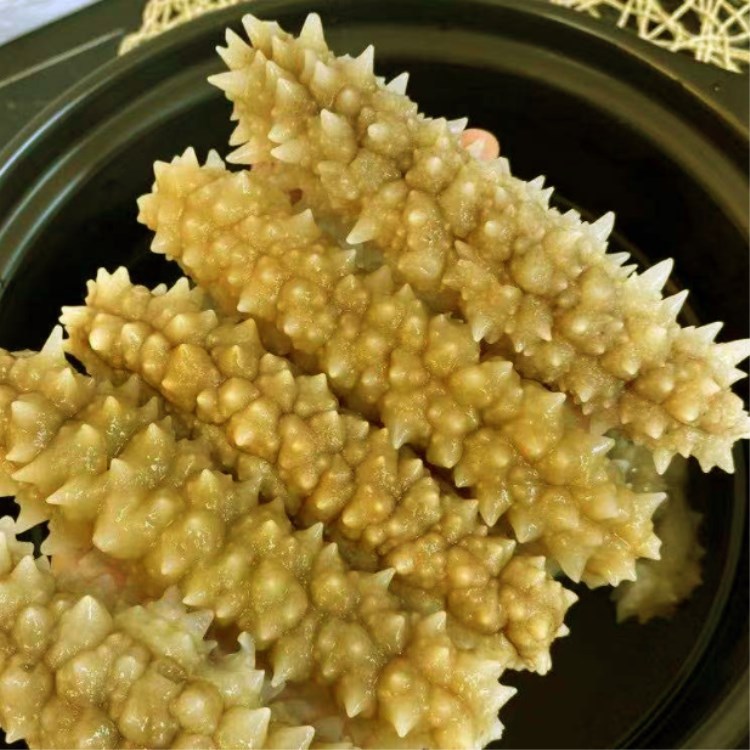 即食黄玉参 即食黄金刺参 即食海参