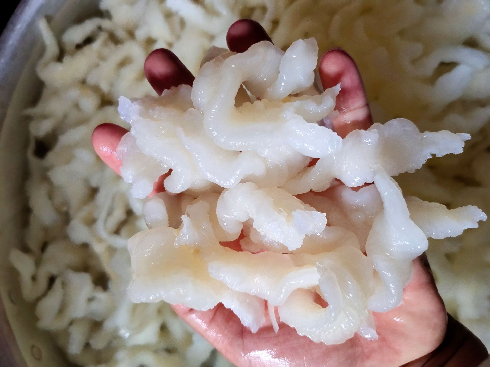 水发淡水金龙鱼胶花胶 500g 阿里巴巴批发北海花胶鱼肚 酒店食材