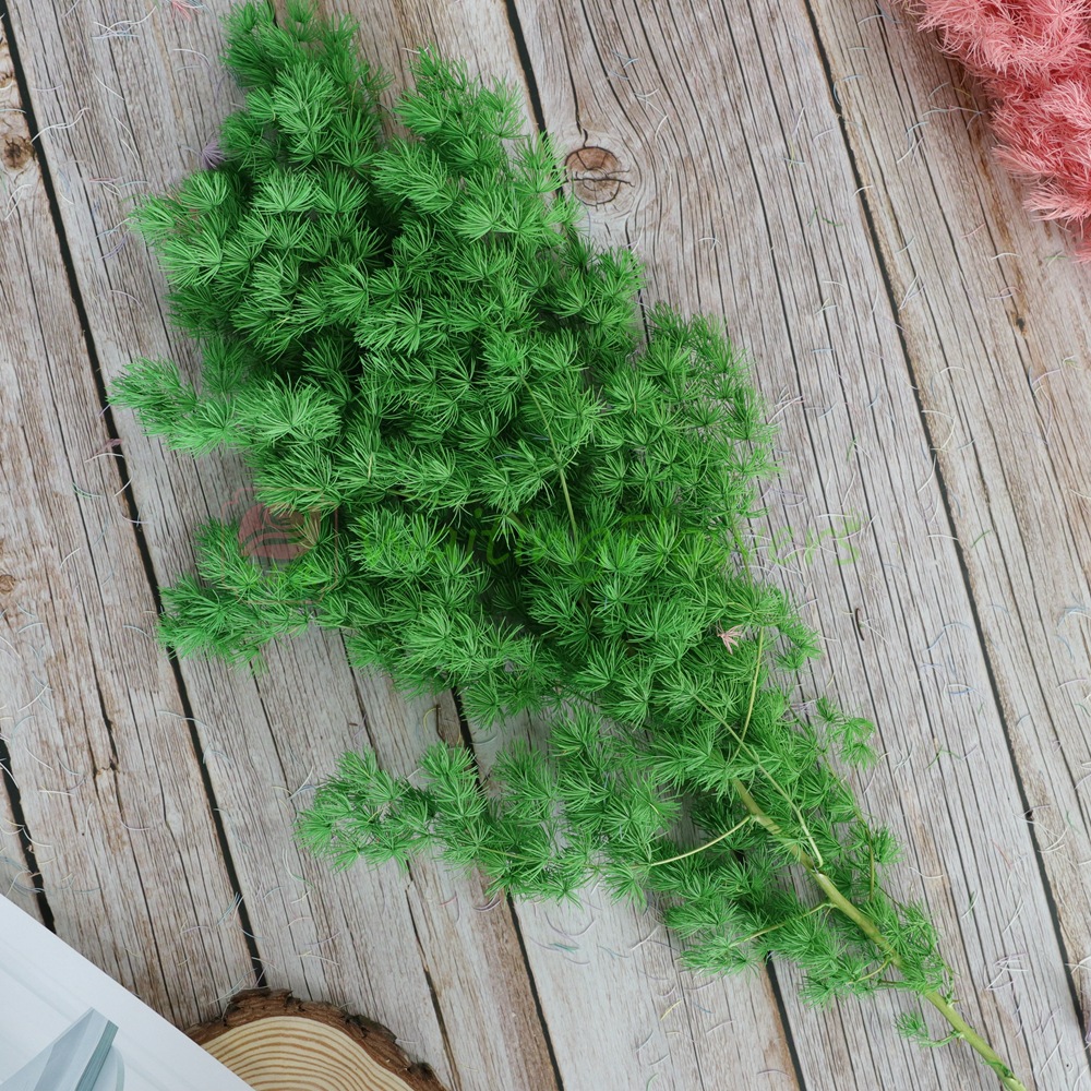 国产蓬莱松永生花配材保鲜花礼盒插花原材料diy浮游花标本手作