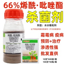 沪联凯泽66%烯酰吡唑酯烯酰吗啉霜霉病专用药杀菌剂果树蔬菜农药