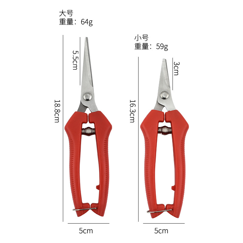 Pruning Shear Picking Shears Fruit Thinning Shears Garden Scissors Fruit Tree Pruning Shears Pruning Shear Pointed Orchard Fruit Picking Scissors Garden Scissors