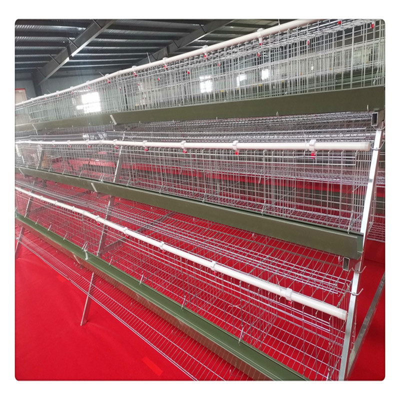 厂家采购肉鸡笼 全自动养殖设备鸡笼树脂食槽 批发鸡料槽 饮水器