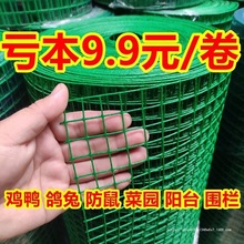 防锈小孔铁丝网养殖鸡鸭网防鼠猫鸽兔阳台防护网果园菜园圈地围栏