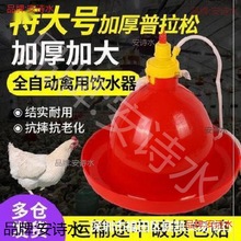 给水器饲料桶家禽养殖场鸭子全自动鸡场喂养鸭雏食槽养鸡设备鹅用