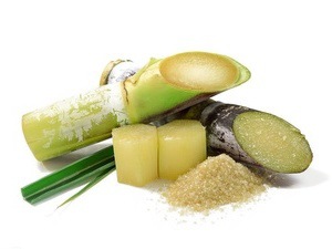 甘蔗膳食纤维90%甘蔗纤维粉 sugarcane dietary fiber