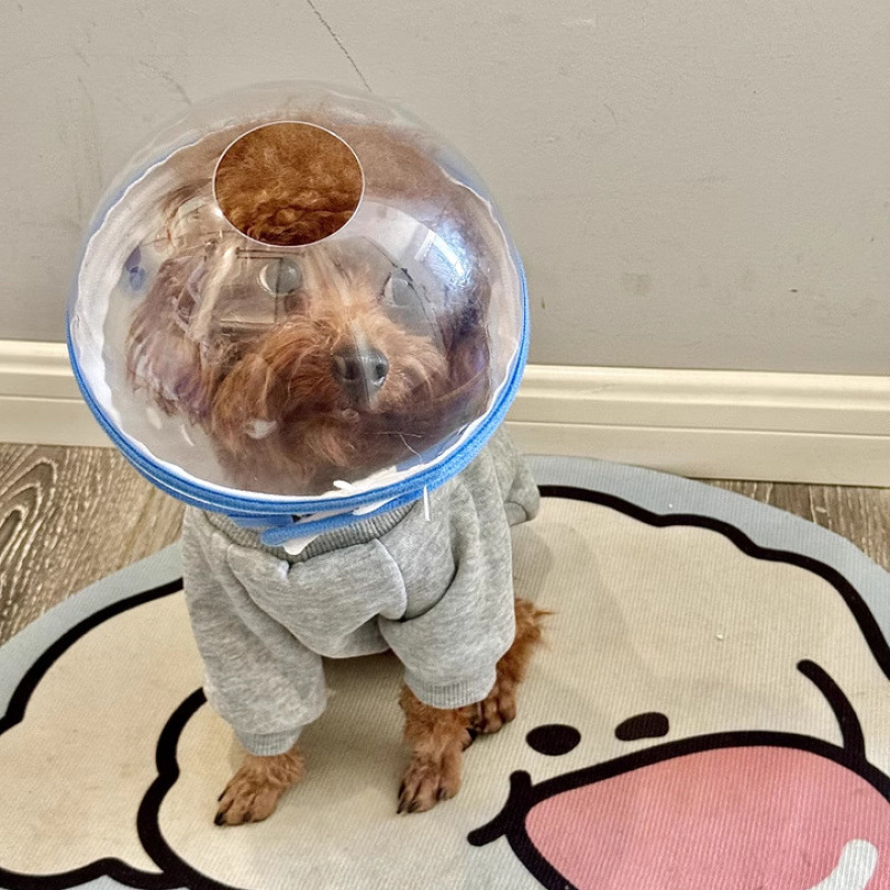 狗狗头套防舔防咬伊丽莎白圈比熊泰迪小型犬加深头罩嘴套遛狗防吃