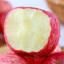 陕西洛川红富士苹果脆甜多汁新鲜应季水果一件代发整箱批发全年款