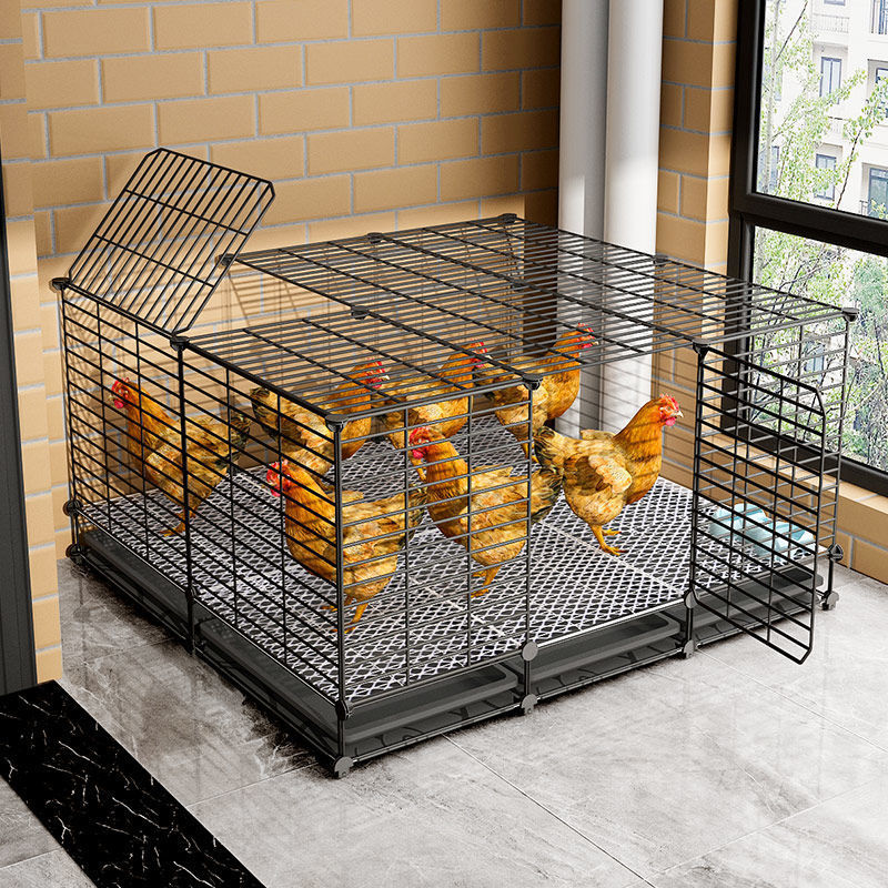 养殖笼大号鸡大号养笼鸡室外自动清粪大码滚蛋鸡笼鸭鸡笼子家用室外自