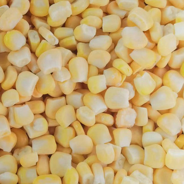 冷冻玉米粒 速冻玉米粒 脆王 903玉米-阿里巴巴