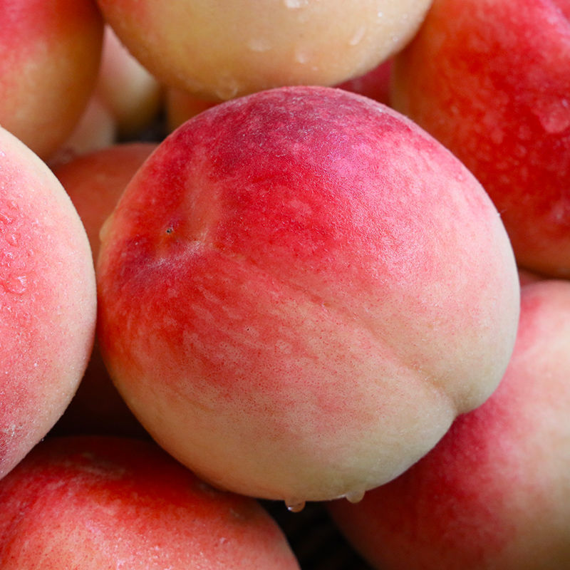 0件10斤整箱现摘黄肉油桃新鲜水果脆甜应季孕妇黄心桃子非水蜜桃￥2