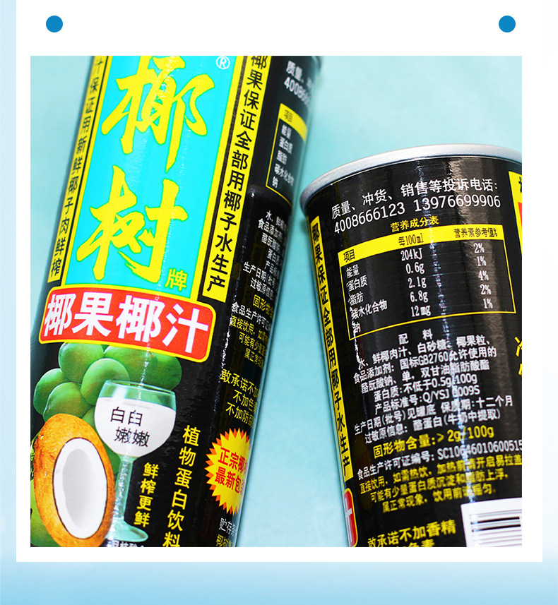 正宗椰树牌椰汁 椰果椰汁 罐装 250g*24罐 海南特产 植物蛋白饮料