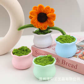 工厂直销简约塑料花盆加厚防摔迷你花盆摆式欧式礼品手工创意摆件
