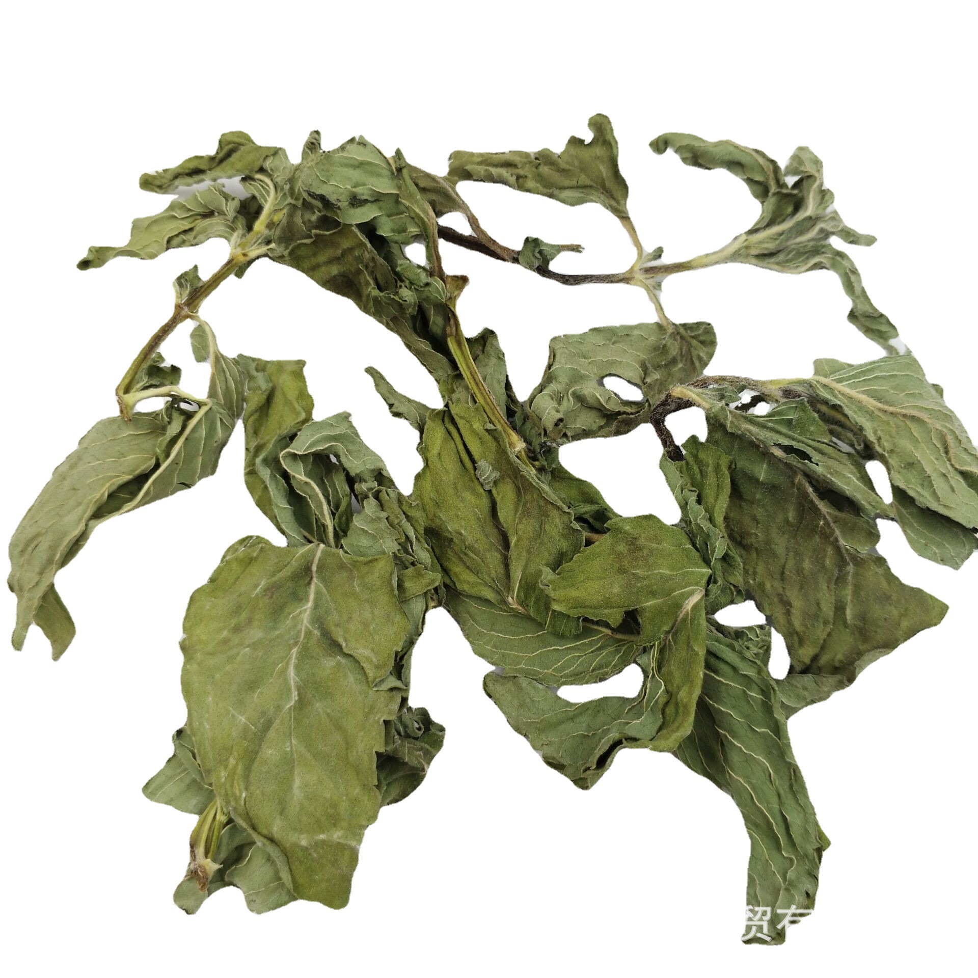 薄荷叶中药材批发 新货 量大从优-阿里巴巴