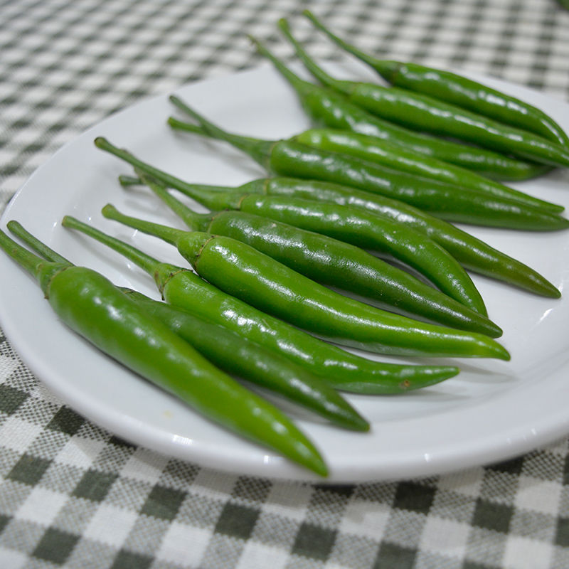 全棉仿天丝布料 春夏连衣裙衬衫面料布匹厂家仿真蔬菜迷你小辣椒 拍照