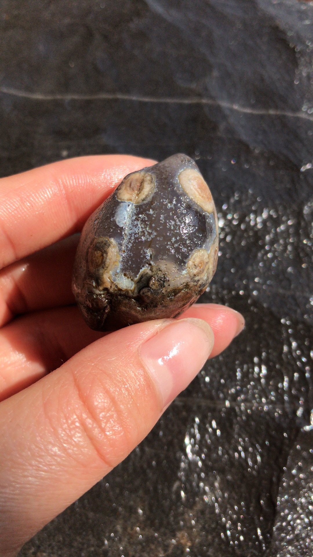 批发阿拉善戈壁原石玛瑙眼睛石单颗