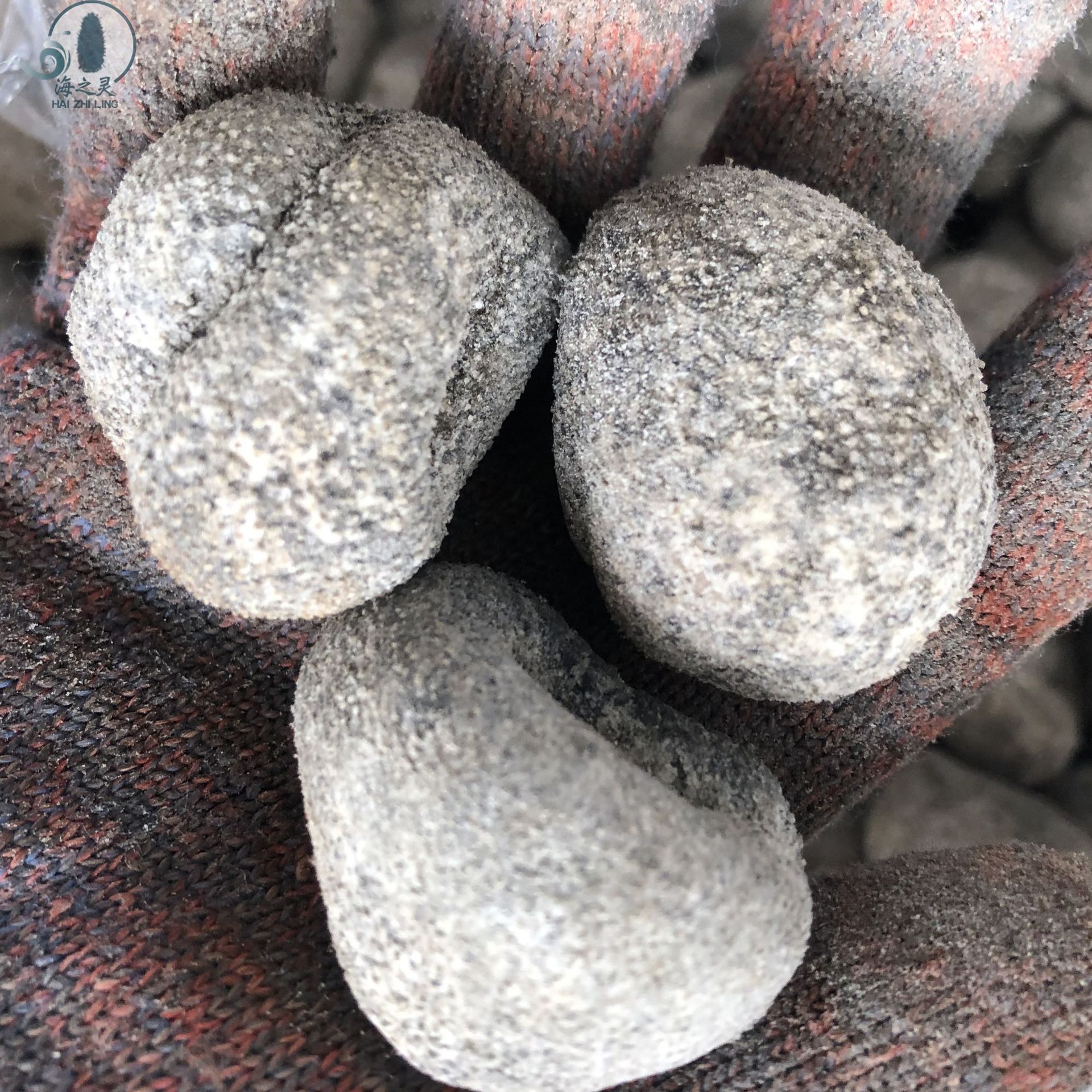 批发22头珍珠参小球参白珍珠参龙眼参9成干厚肉 海参批发全国发货