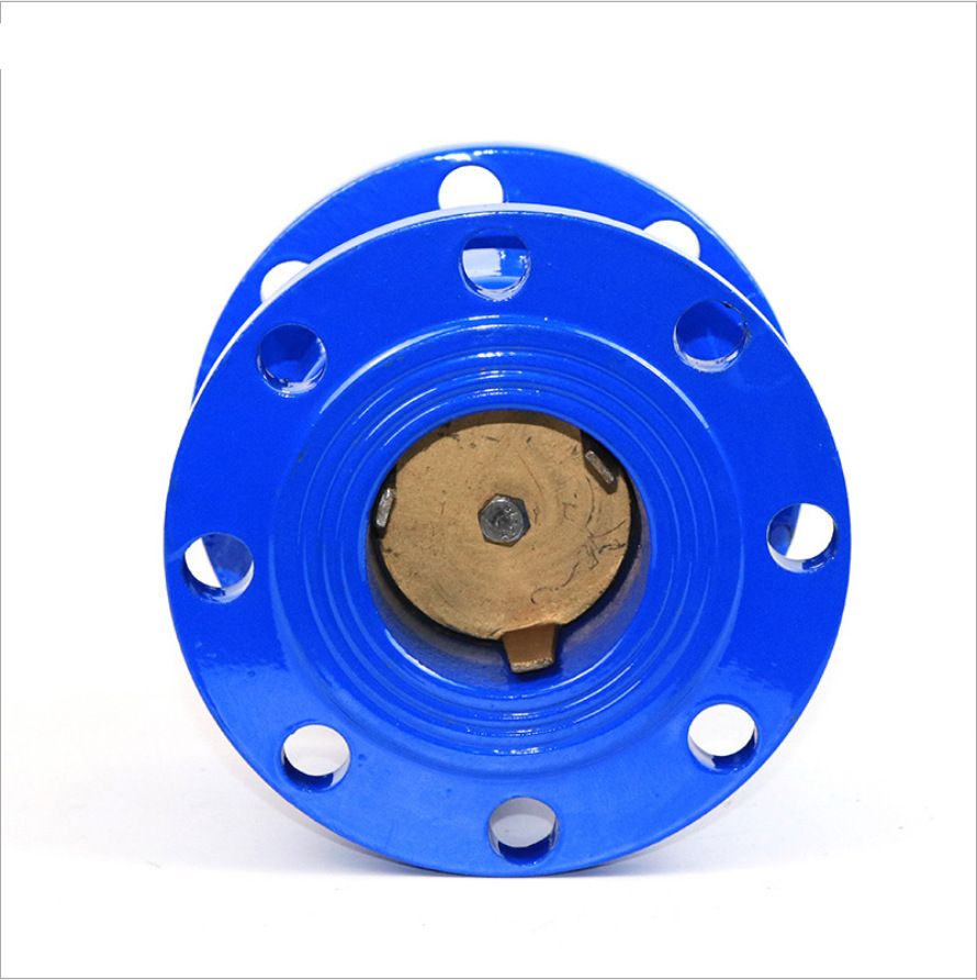 立式消声止回阀hc41x球墨铸铁法兰逆止单向阀弹簧静音止回阀dn80