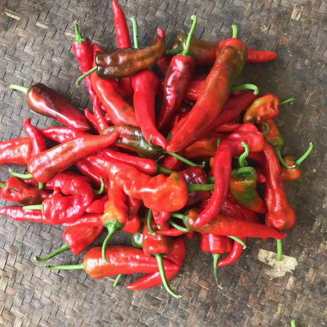 鲜红土辣椒农家老品种小土辣椒红辣椒鲜红辣椒红尖椒做酱剁椒包邮-阿