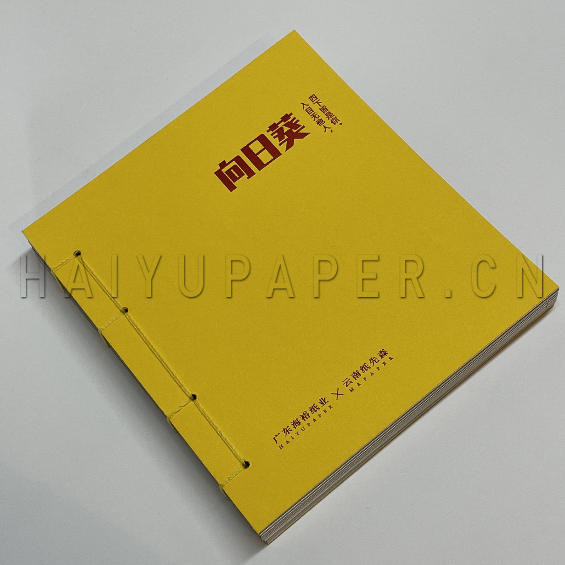 特种纸样册向日葵2021下半年新品原浆纸金属纸触感雕金新品艺术纸