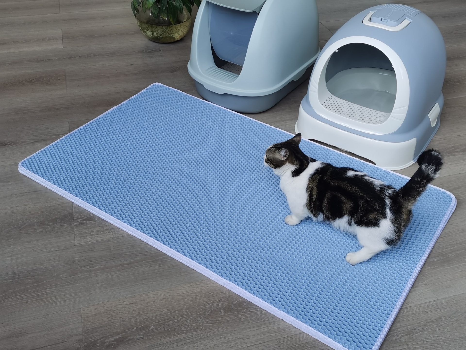 双层猫砂垫子 一件代发 源头工厂 eva猫狗宠物垫跨境亚马逊爆款