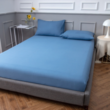 GD53床笠单件床罩全包床单席梦思床垫保护罩榻榻米防尘床套非