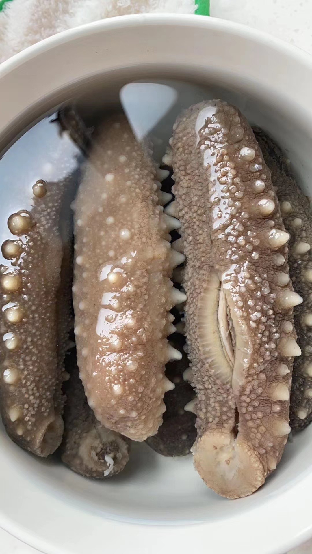 日本北海道天然野生关西参海参干货直销纯淡干辽刺参20-300头