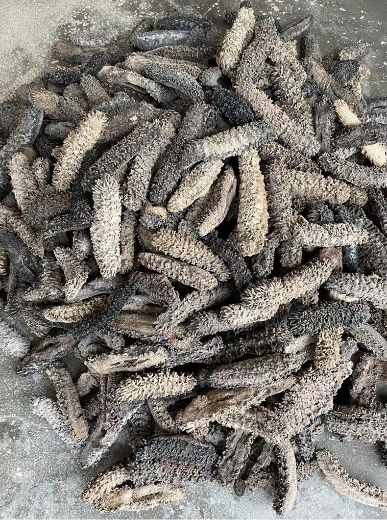 梅花参干货批发2-5头澳洲淡干海参印尼一手有刺参非洲水发凤梨参