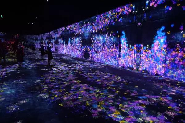 全息投影仪3d餐厅地面沉浸式空中成像剧本杀游戏互动墙裸眼5d影院