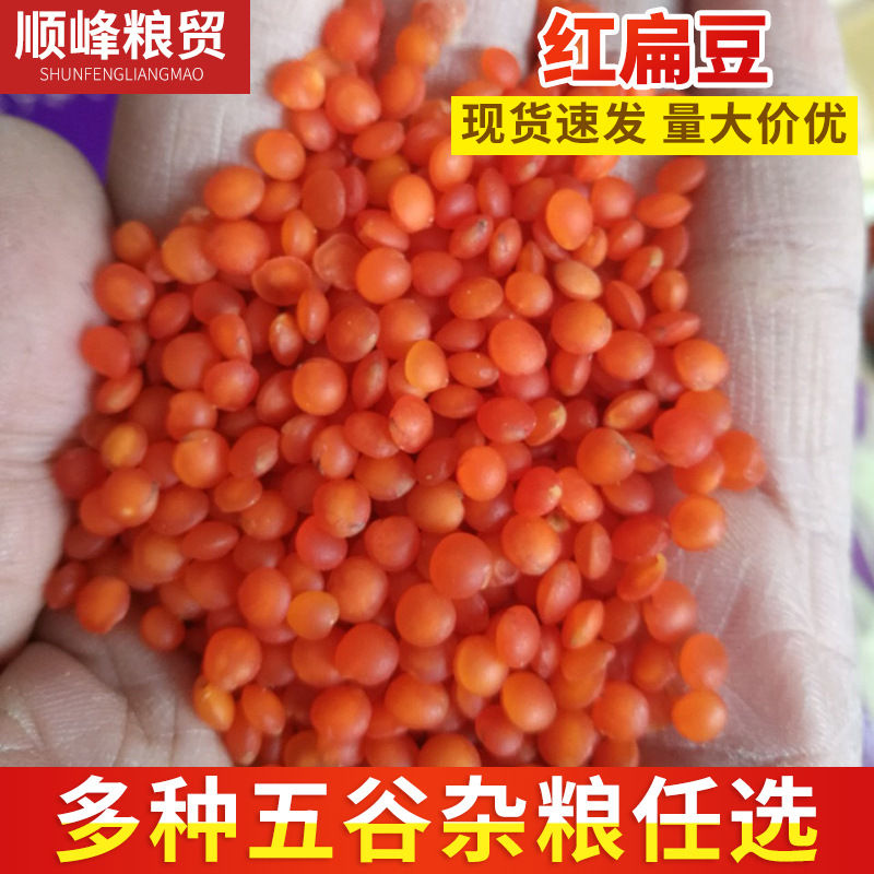 临沂农家自产去皮红扁豆粒红扁豆瓣批发 零售五谷杂粮红扁豆