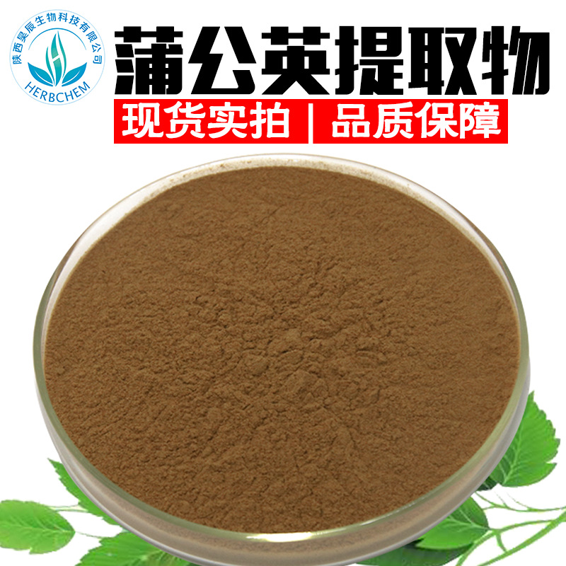 蒲公英提取物30 1 蒲公英根提取物厂家现货供应 蒲公英提取物黄酮