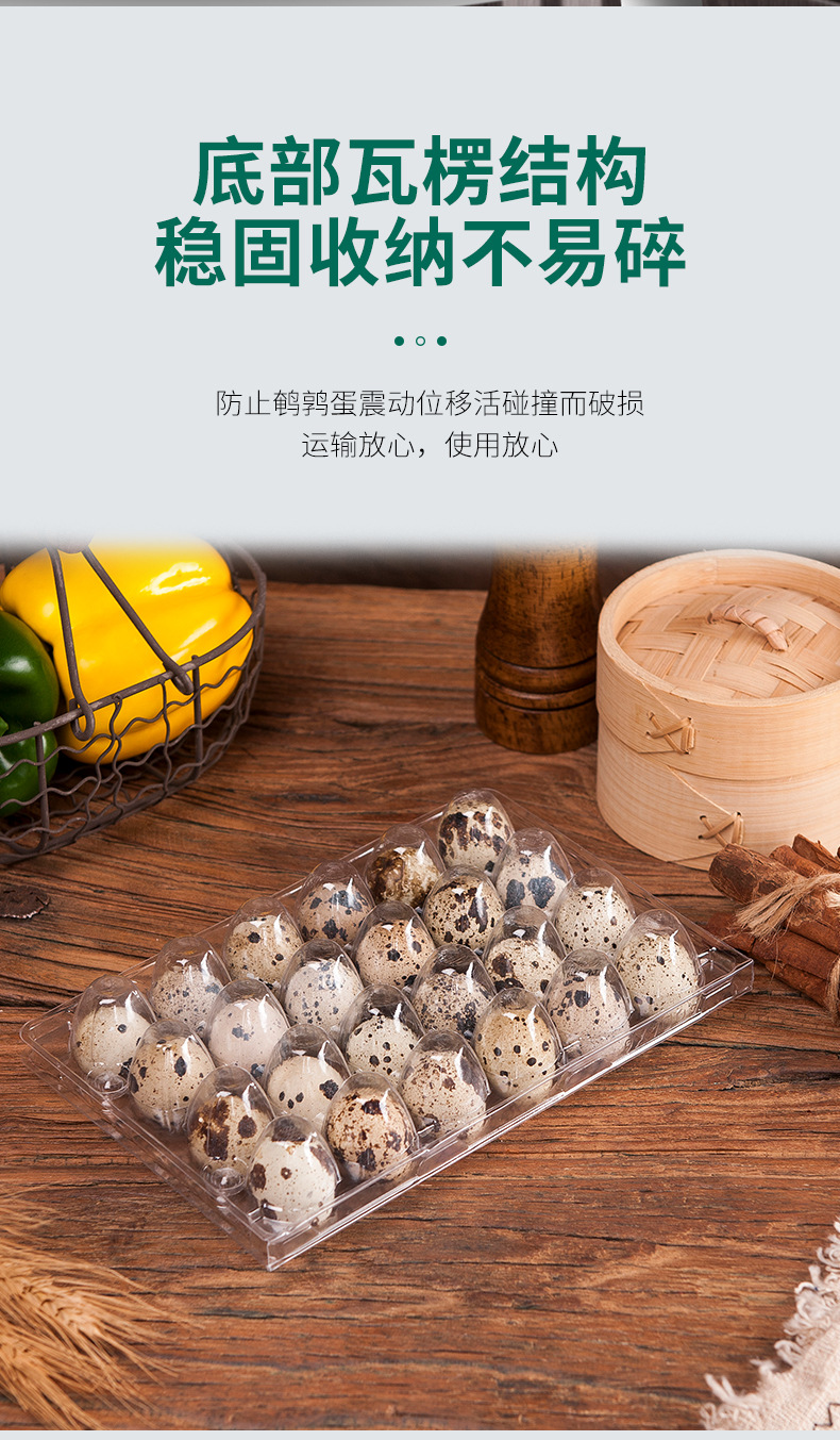 分隔放置鹌鹑蛋包装盒 24枚鹌鹑蛋吸塑禽蛋包装 透明一次性蛋托