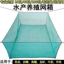 小鱼苗网箱龙虾养殖青蛙3螃蟹黄鳝毫米牛蛙蝌蚪水产目10泥鳅四脚