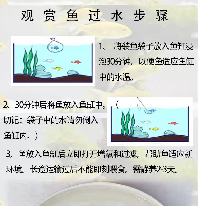 o1cn01rutzgr1hx8hhbwhbb_!2200