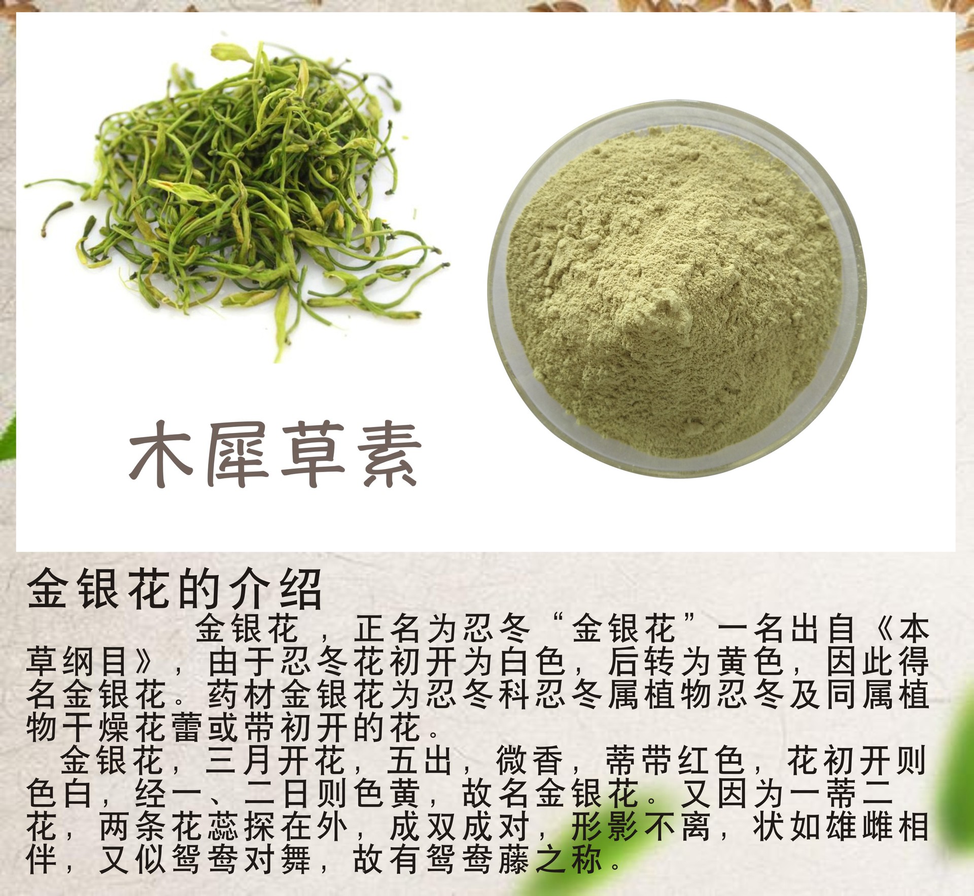 木犀草素98% 金银花提取物 木犀草苷 泽朗现货 量大从优100克/袋