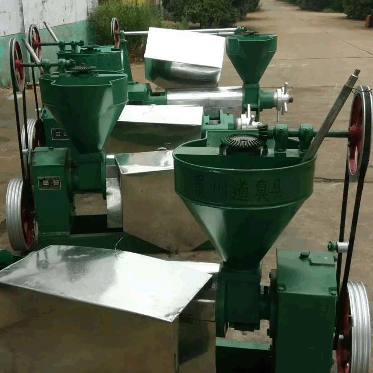 商用小型榨油机图片